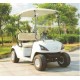 Two-Seat Electric Golf Cart